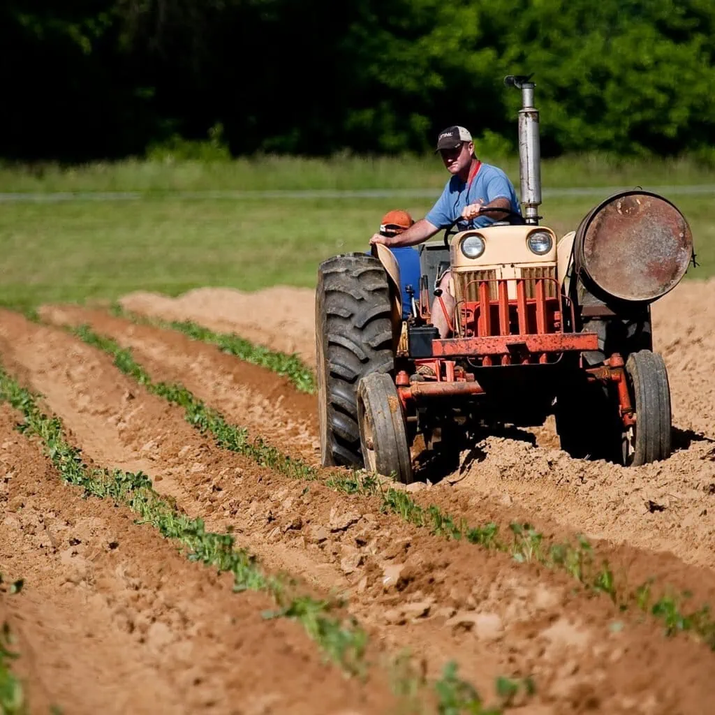 A farmer driving a tractor plowing rows in a rural North Carolina field on a sunny day.